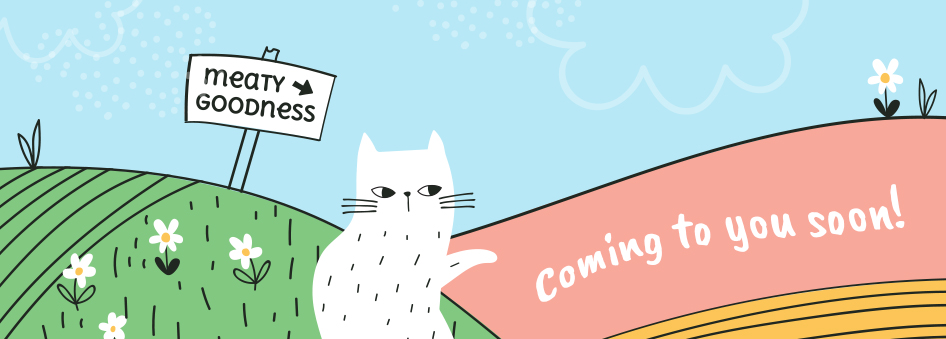 Mau&Me fresh cat food recipes